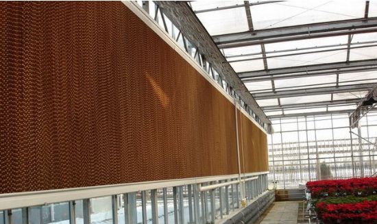 �񺟽���ϵ�y(t��ng)����Ч��